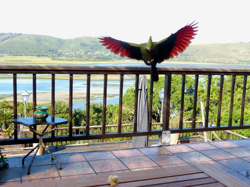 Knysnaviews Guest House Bilik gambar